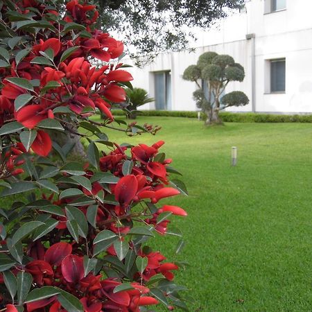 Ferienwohnung Fiore Dell'Etna Santa Venerina Exterior foto