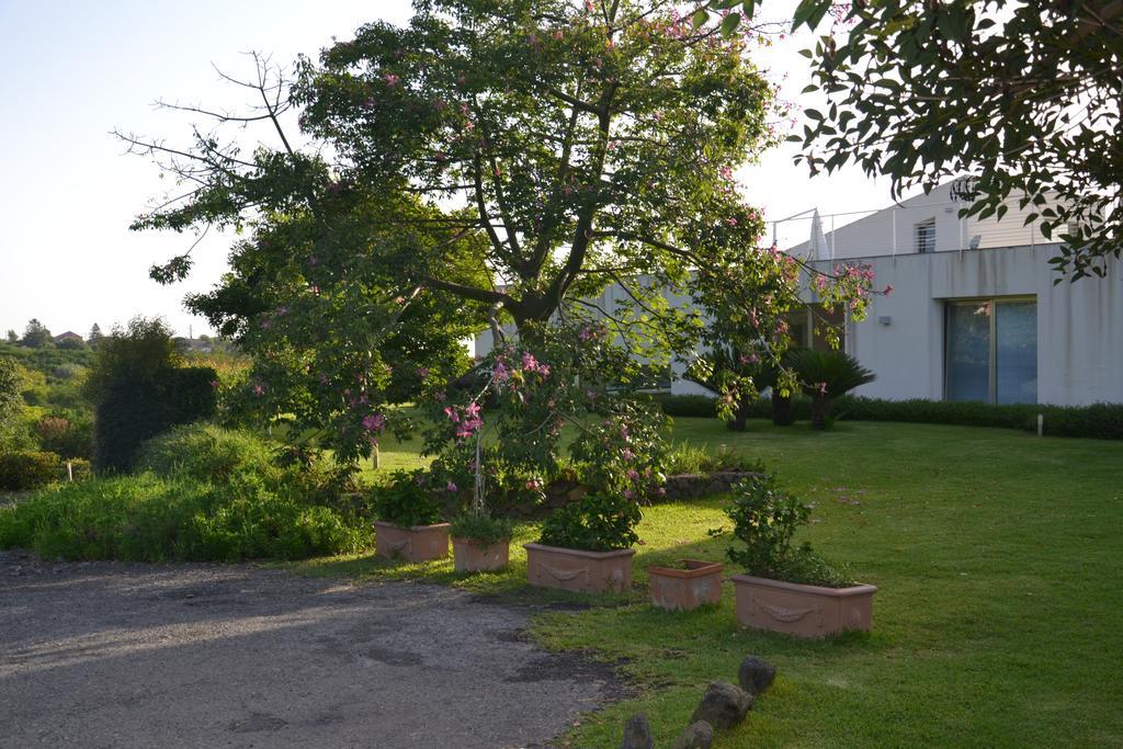 Ferienwohnung Fiore Dell'Etna Santa Venerina Exterior foto
