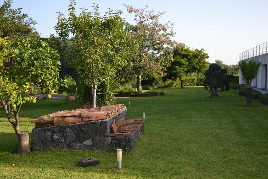 Ferienwohnung Fiore Dell'Etna Santa Venerina Exterior foto