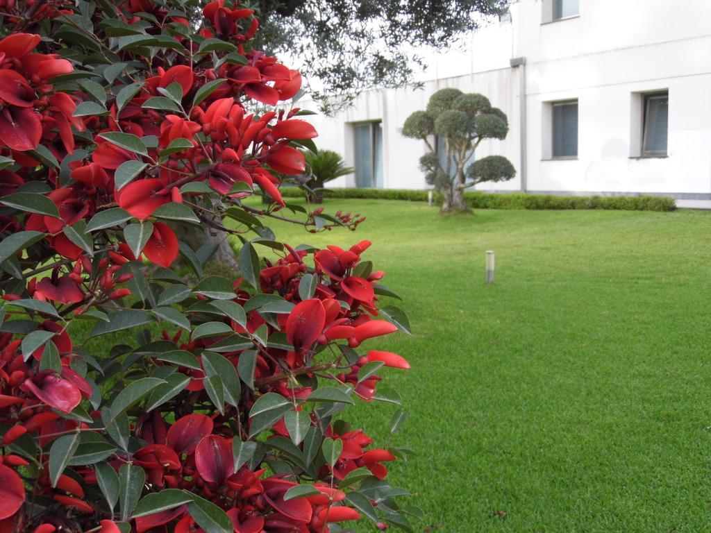 Ferienwohnung Fiore Dell'Etna Santa Venerina Exterior foto