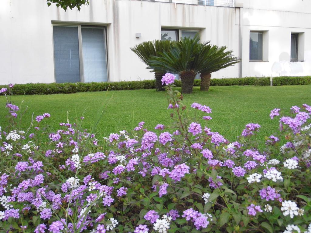 Ferienwohnung Fiore Dell'Etna Santa Venerina Exterior foto